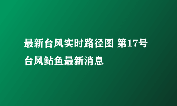 最新台风实时路径图 第17号台风鲇鱼最新消息