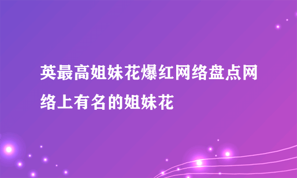 英最高姐妹花爆红网络盘点网络上有名的姐妹花