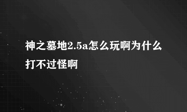 神之墓地2.5a怎么玩啊为什么打不过怪啊