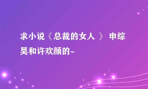 求小说《总裁的女人 》 申综昊和许欢颜的~