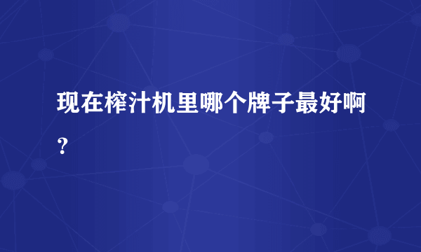 现在榨汁机里哪个牌子最好啊？