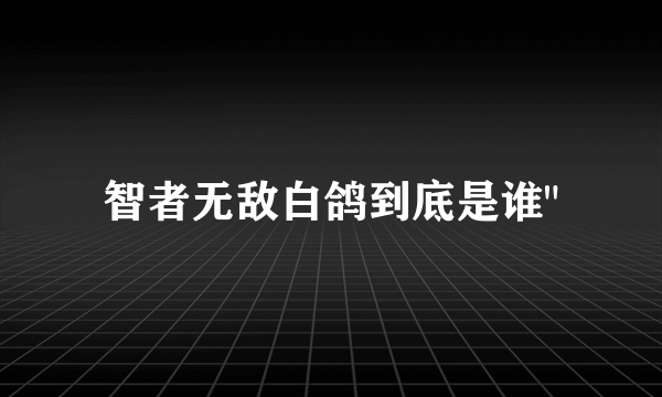 智者无敌白鸽到底是谁