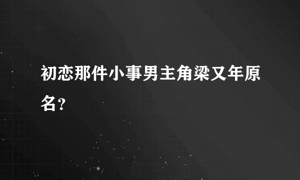 初恋那件小事男主角梁又年原名？