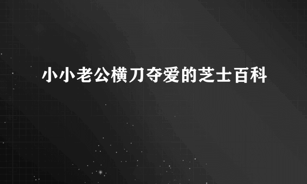 小小老公横刀夺爱的芝士百科