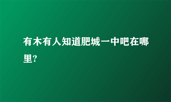 有木有人知道肥城一中吧在哪里?