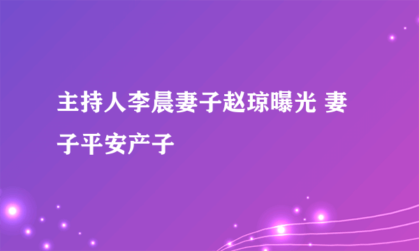 主持人李晨妻子赵琼曝光 妻子平安产子