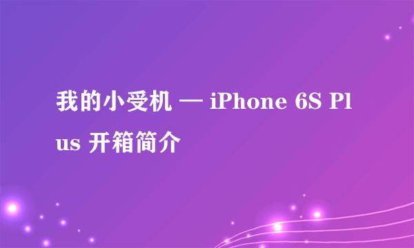 我的小受机 — iPhone 6S Plus 开箱简介