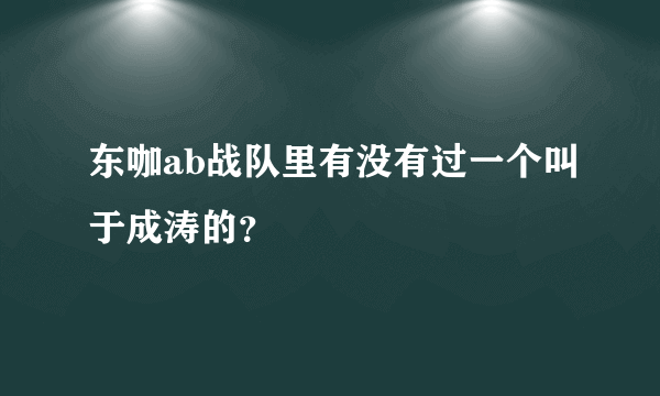 东咖ab战队里有没有过一个叫于成涛的？