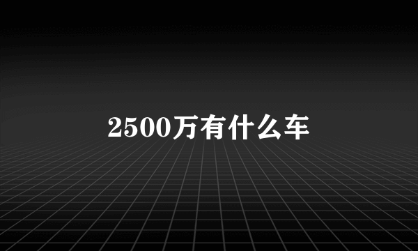 2500万有什么车