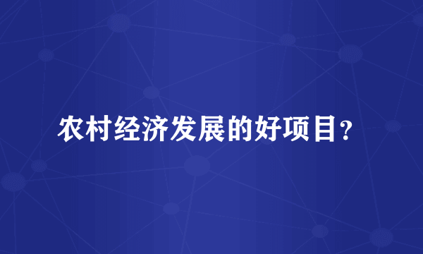 农村经济发展的好项目？