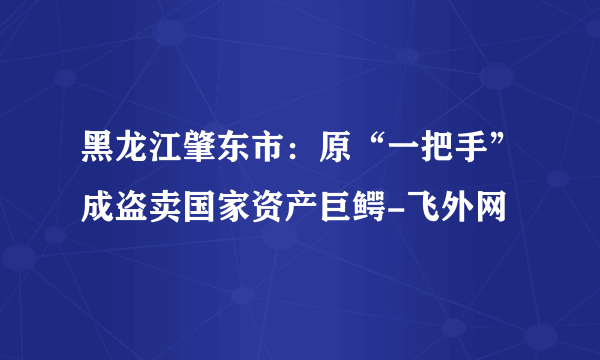 黑龙江肇东市：原“一把手”成盗卖国家资产巨鳄-飞外网