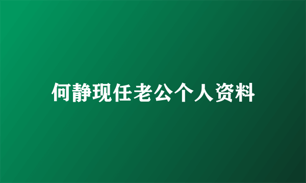 何静现任老公个人资料