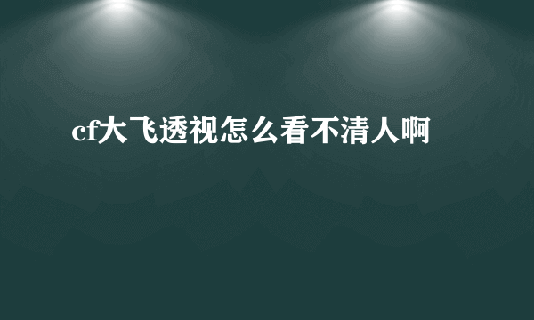 cf大飞透视怎么看不清人啊