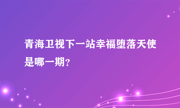 青海卫视下一站幸福堕落天使是哪一期？