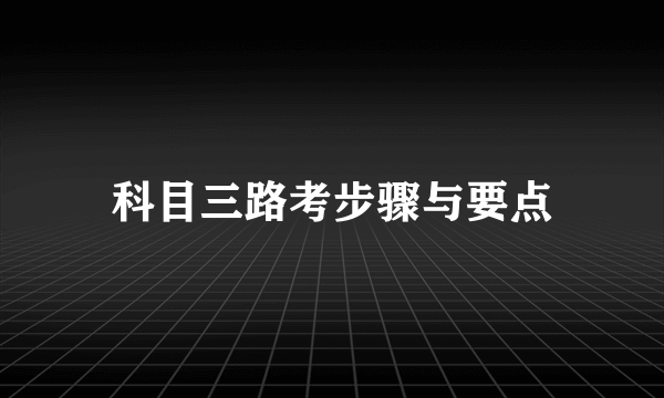 科目三路考步骤与要点