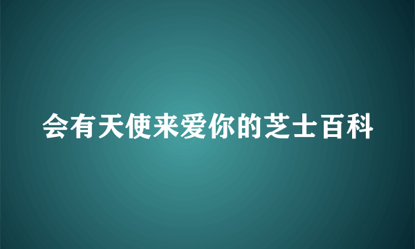 会有天使来爱你的芝士百科