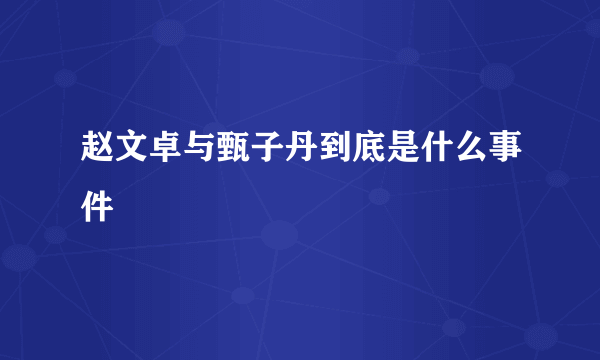 赵文卓与甄子丹到底是什么事件