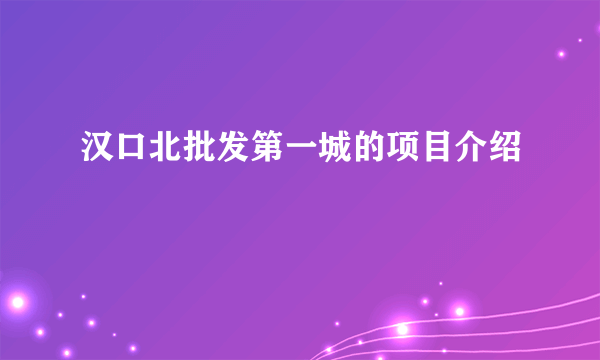 汉口北批发第一城的项目介绍