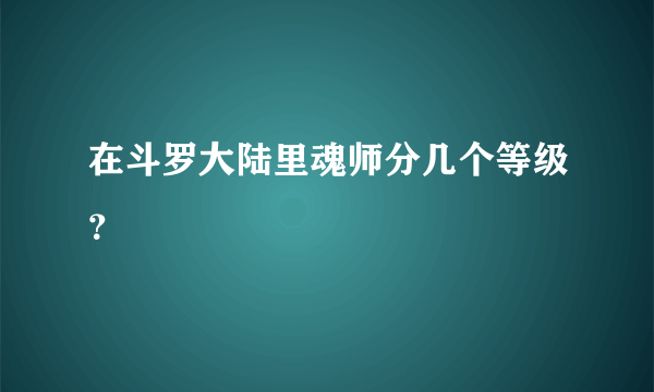 在斗罗大陆里魂师分几个等级？