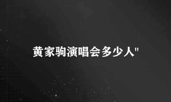 黄家驹演唱会多少人