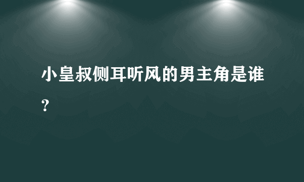 小皇叔侧耳听风的男主角是谁？