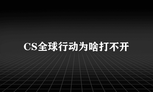 CS全球行动为啥打不开