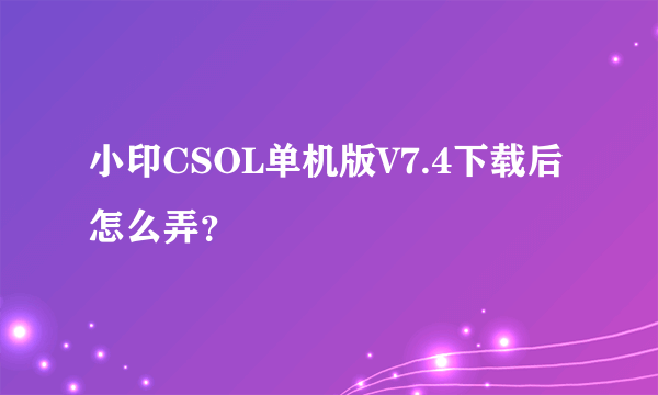 小印CSOL单机版V7.4下载后怎么弄？