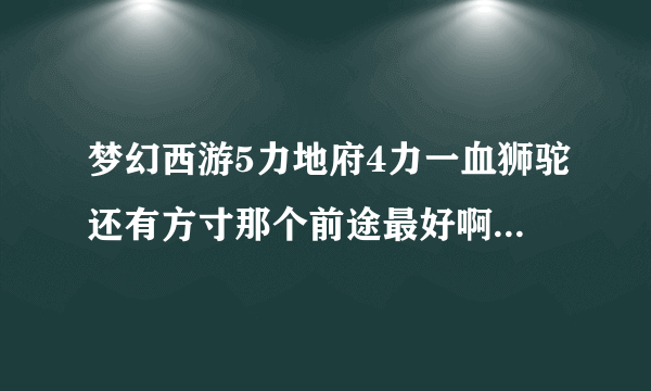 梦幻西游5力地府4力一血狮驼还有方寸那个前途最好啊?请指教