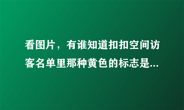 看图片，有谁知道扣扣空间访客名单里那种黄色的标志是什么？为什么有的访客有而有的访客没有？