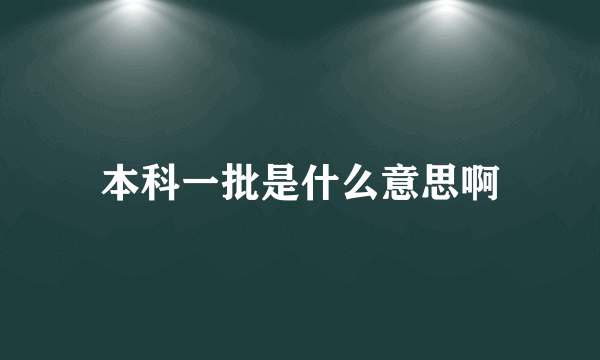 本科一批是什么意思啊