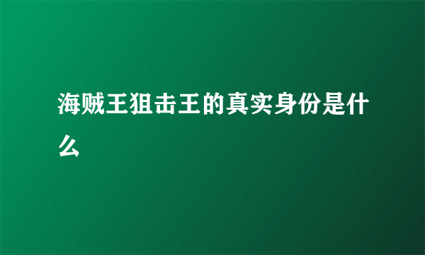 海贼王狙击王的真实身份是什么