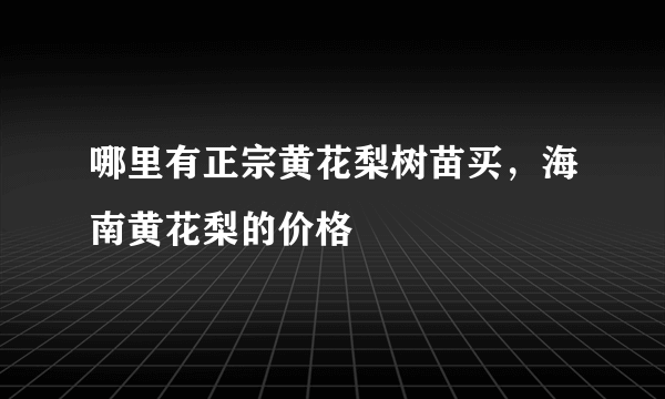 哪里有正宗黄花梨树苗买，海南黄花梨的价格