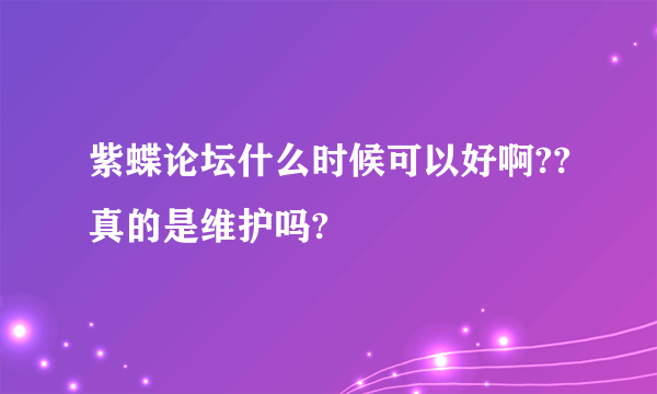 紫蝶论坛什么时候可以好啊??真的是维护吗?