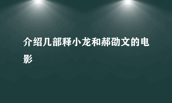 介绍几部释小龙和郝劭文的电影