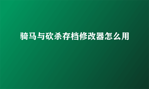 骑马与砍杀存档修改器怎么用