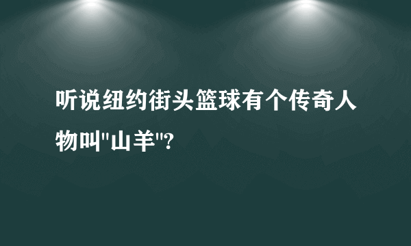 听说纽约街头篮球有个传奇人物叫