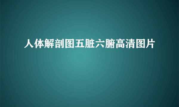 人体解剖图五脏六腑高清图片