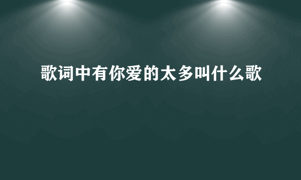 歌词中有你爱的太多叫什么歌