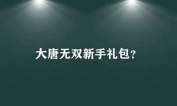 大唐无双新手礼包？