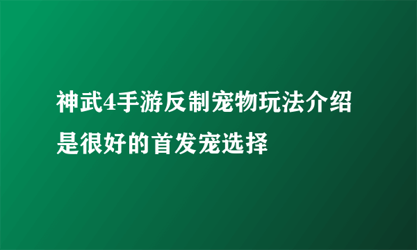 神武4手游反制宠物玩法介绍 是很好的首发宠选择