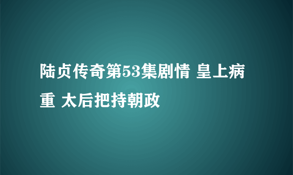 陆贞传奇第53集剧情 皇上病重 太后把持朝政