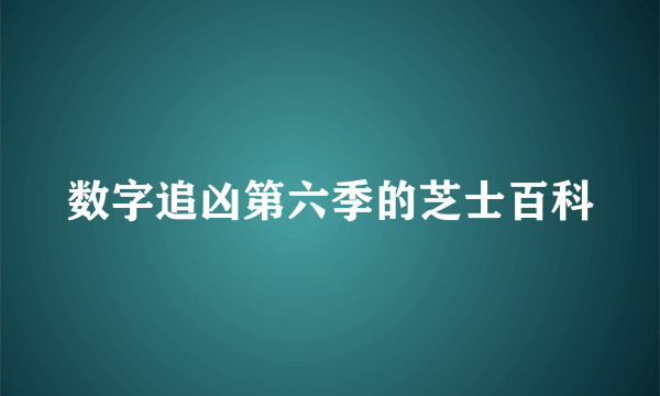 数字追凶第六季的芝士百科