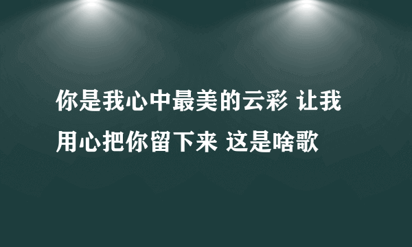 你是我心中最美的云彩 让我用心把你留下来 这是啥歌