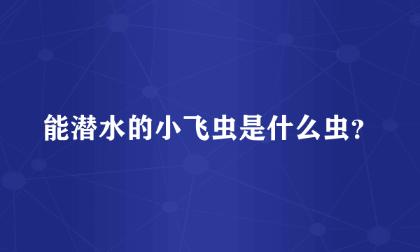 能潜水的小飞虫是什么虫？