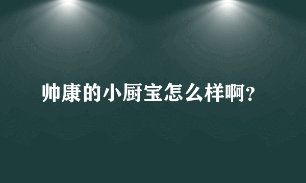 帅康的小厨宝怎么样啊？