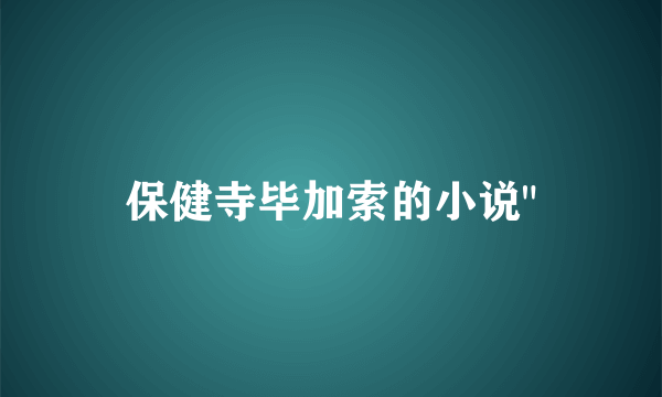 保健寺毕加索的小说