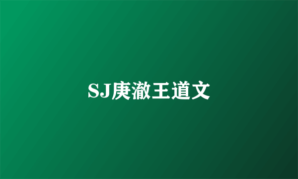 SJ庚澈王道文