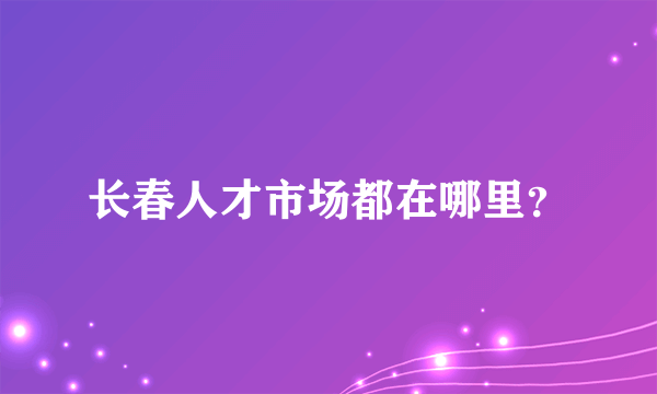 长春人才市场都在哪里？