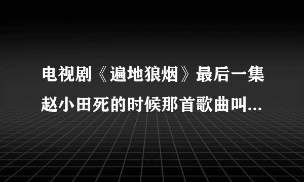 电视剧《遍地狼烟》最后一集赵小田死的时候那首歌曲叫什么啊？