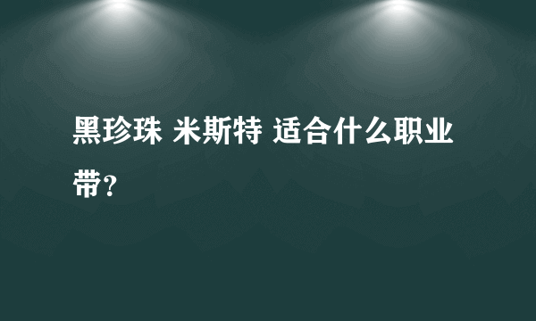 黑珍珠 米斯特 适合什么职业带？